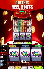 Flash Promotion T45